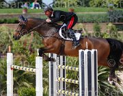 CHIMIRRI B CARUSO CampITA2013- S5 0956 : CARUSO, CHIMIRRI BRUNO, Campionati Italiani 2013, Cattolica, Horse Riviera Resort, foto di Stefano Secchi ©